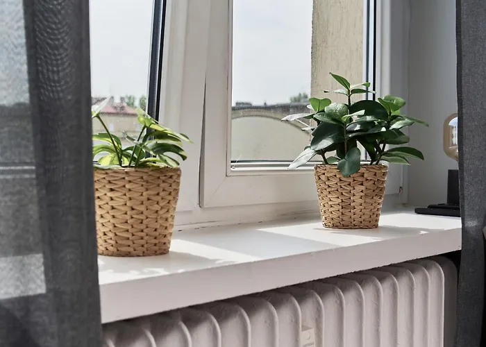 Museum Square By Renters דירה