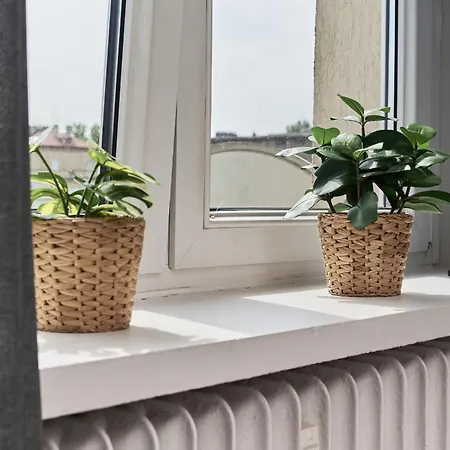 Museum Square By Renters דירה