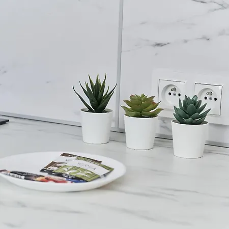 Museum Square By Renters アパート ヴロツワフ