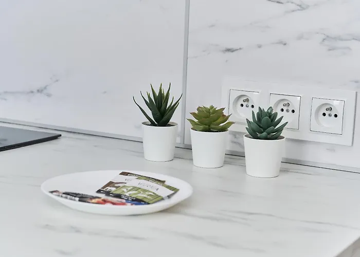 Museum Square By Renters Apartamento Breslavia